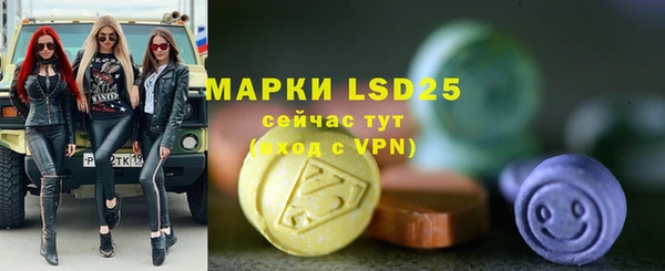 шишки Мегион