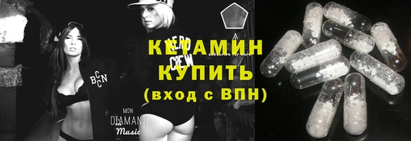 шишки Мегион