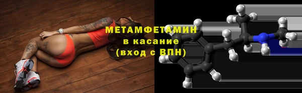 шишки Мегион
