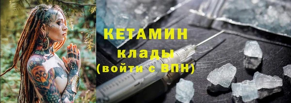 шишки Мегион