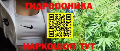 гидропоника Бугуруслан