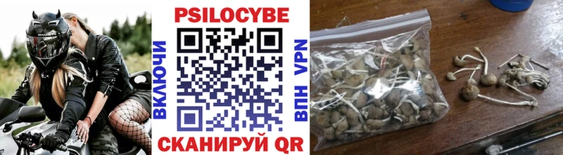 Псилоцибиновые грибы Psilocybine cubensis  Нарьян-Мар 